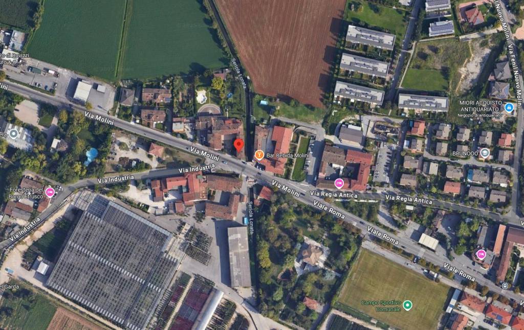 immagine annuncio 1 di 15