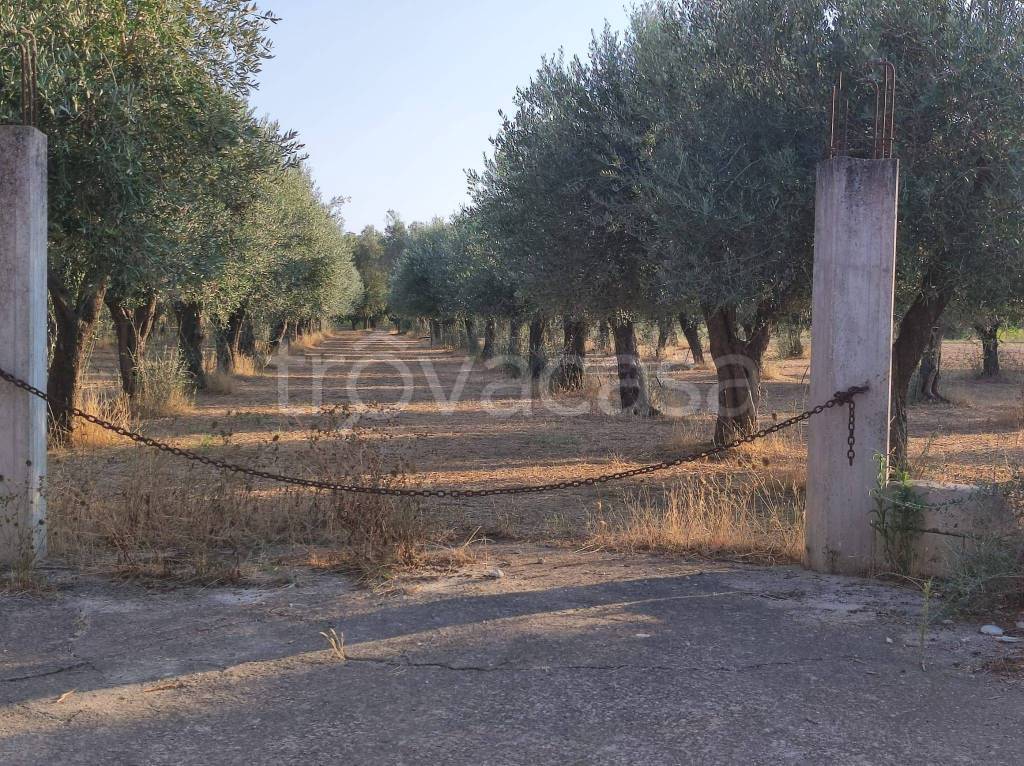 immagine annuncio 3 di 14