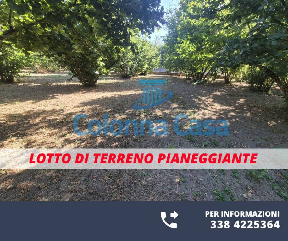 immagine annuncio 1 di 6