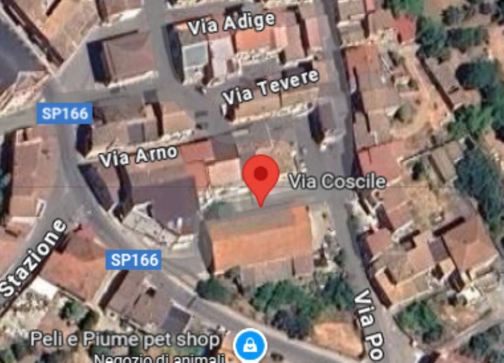 immagine annuncio 1 di 12