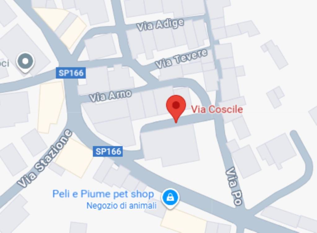 immagine annuncio 2 di 12