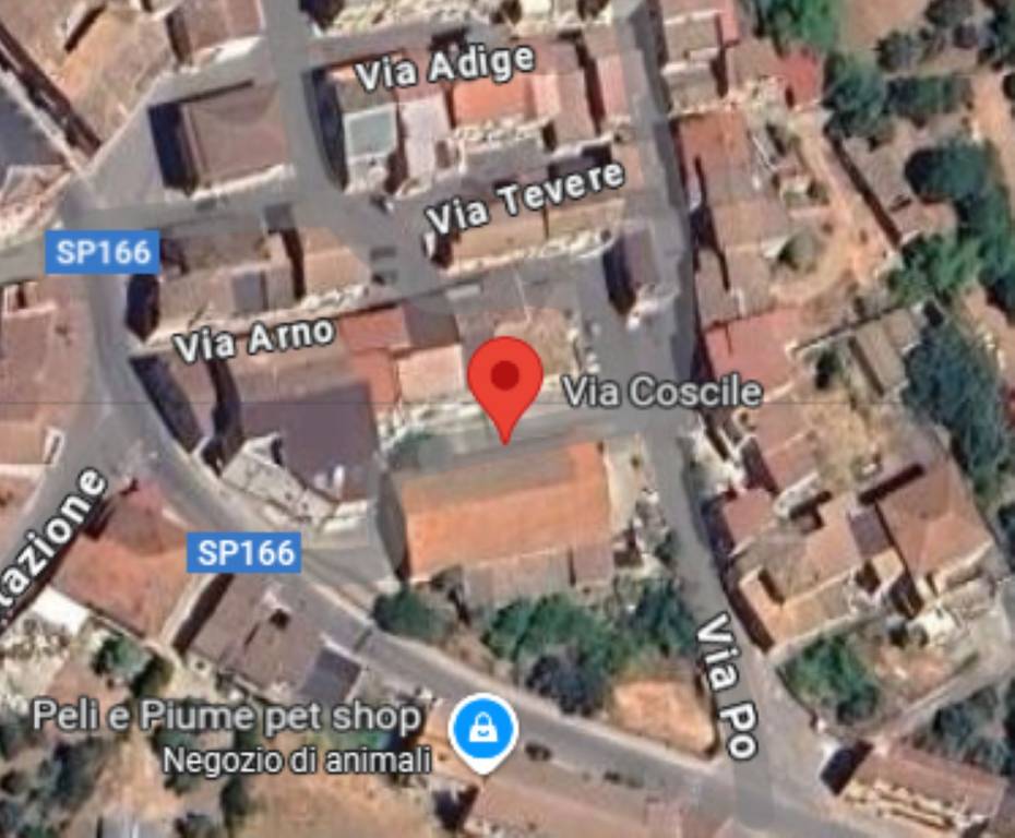 immagine annuncio 10 di 12
