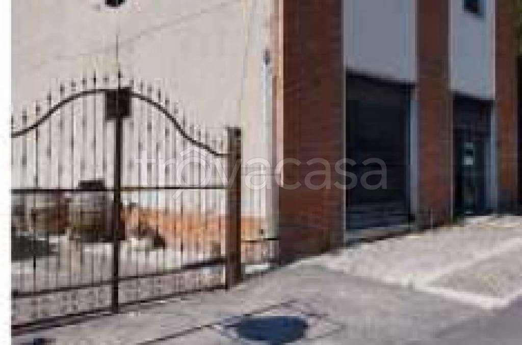 immagine annuncio 3 di 12