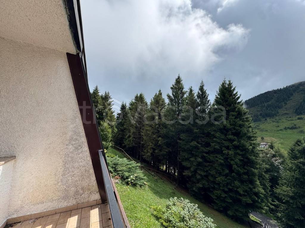 immagine annuncio 4 di 14
