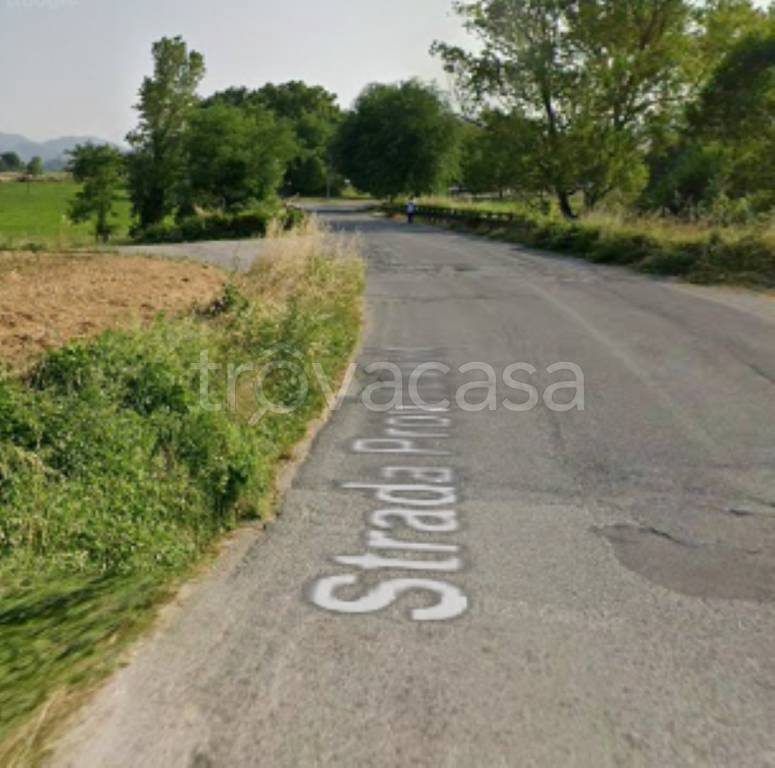 immagine annuncio 11 di 12