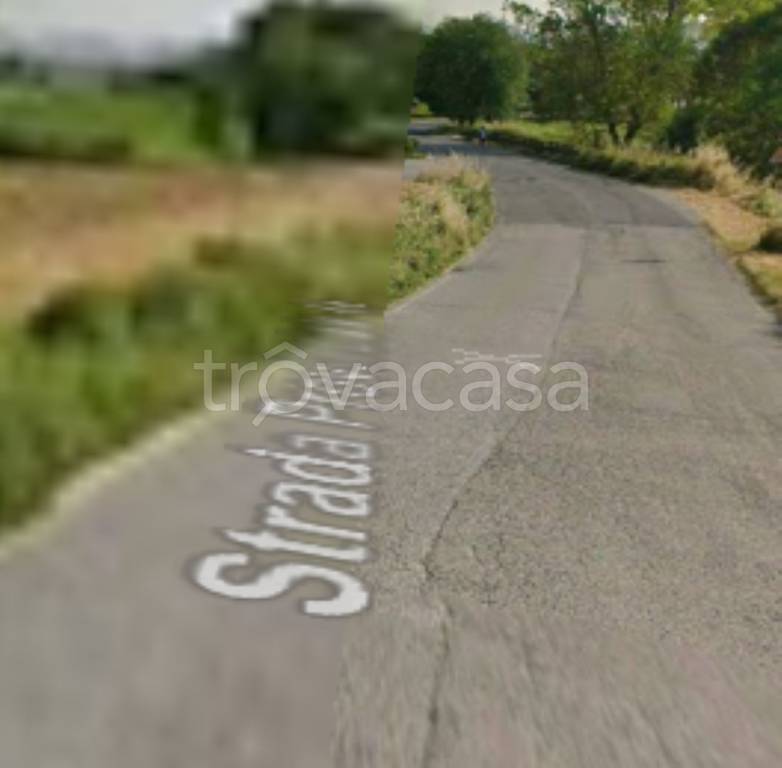 immagine annuncio 3 di 12