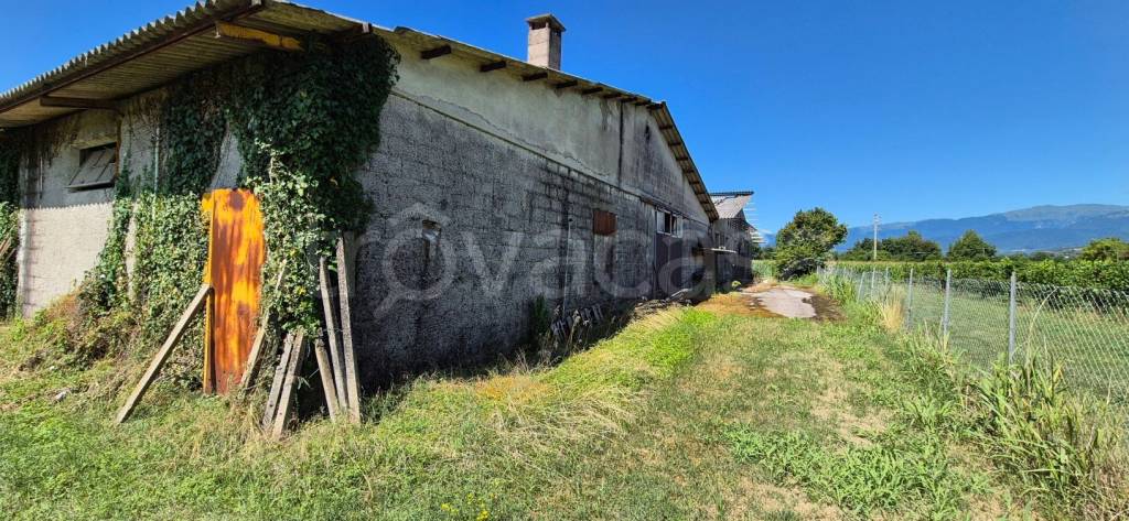 immagine annuncio 9 di 11
