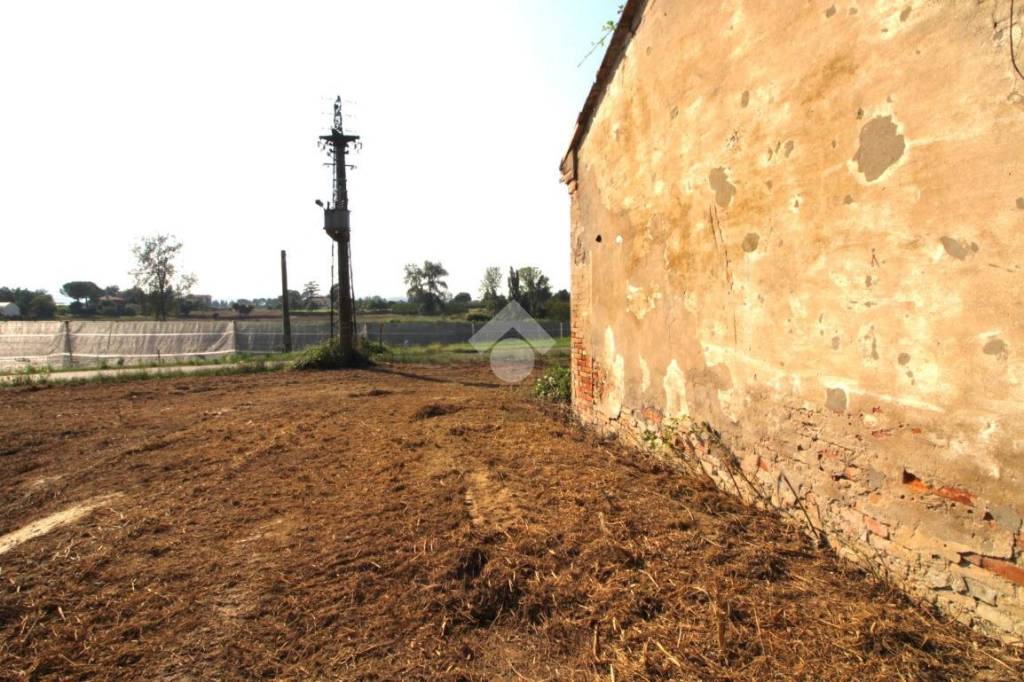 immagine annuncio 2 di 12