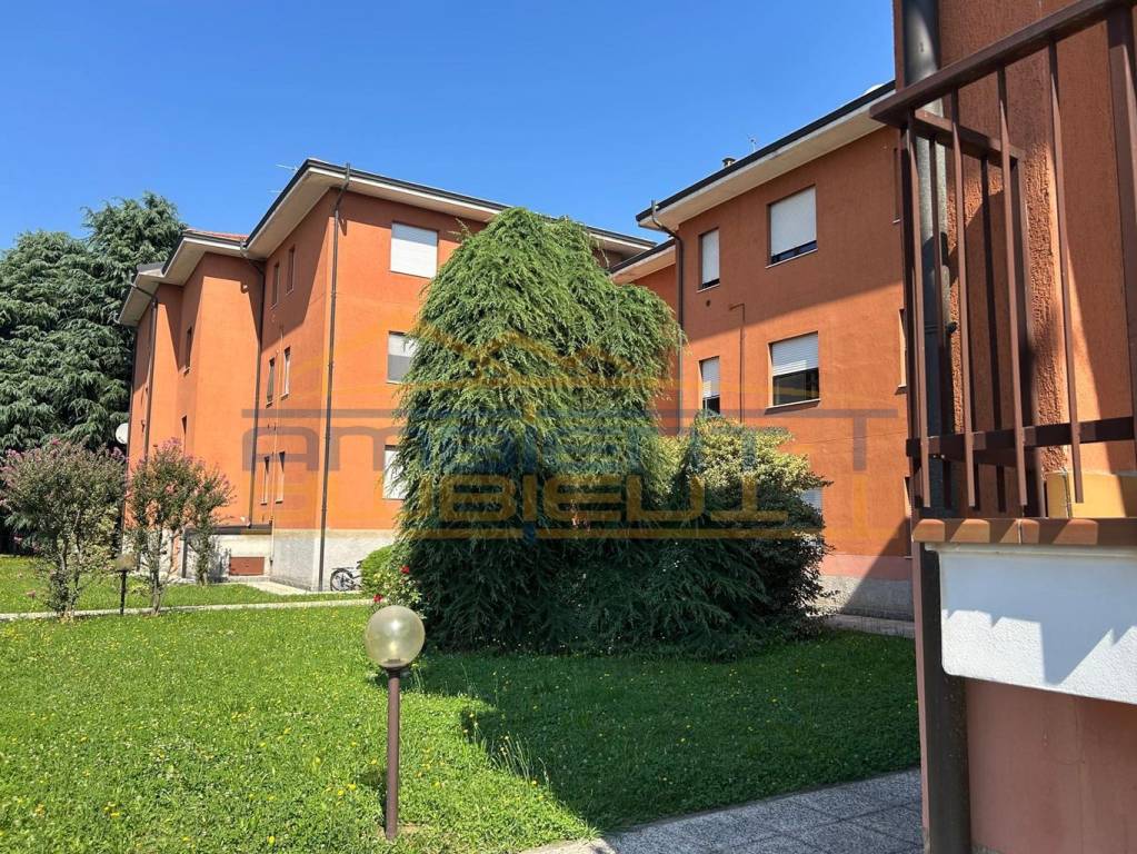 immagine annuncio 2 di 15