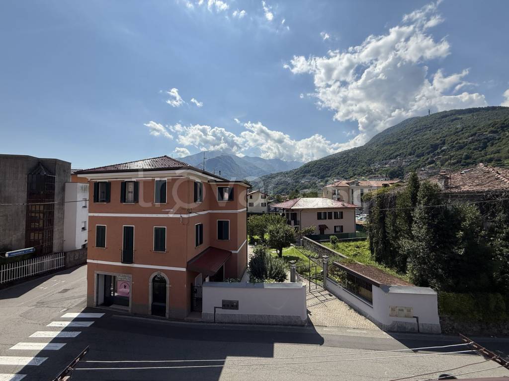 immagine annuncio 7 di 14