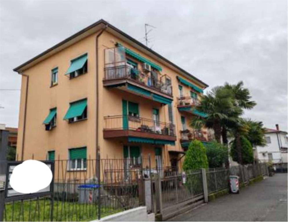 immagine annuncio 4 di 15
