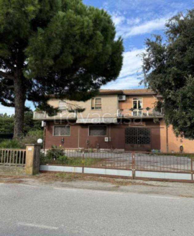 immagine annuncio 2 di 14