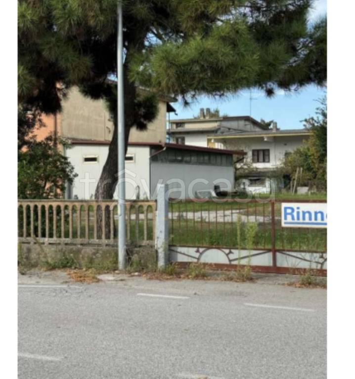 immagine annuncio 3 di 14