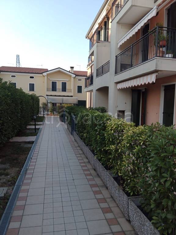immagine annuncio 8 di 9