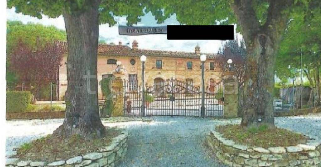 immagine annuncio 7 di 11
