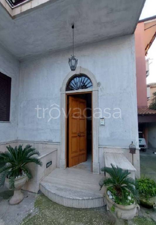 immagine annuncio 6 di 14