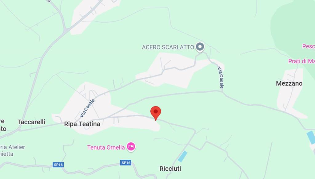 immagine annuncio 10 di 13