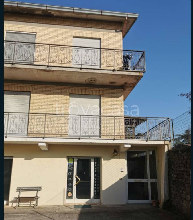 immagine annuncio 1 di 13