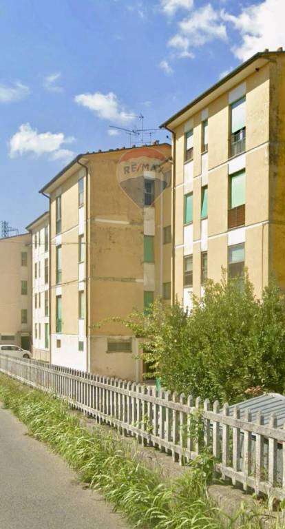 immagine annuncio 12 di 14