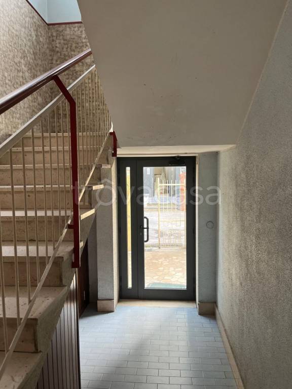 immagine annuncio 11 di 14