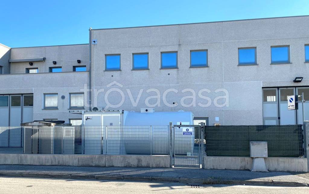 immagine annuncio 3 di 15