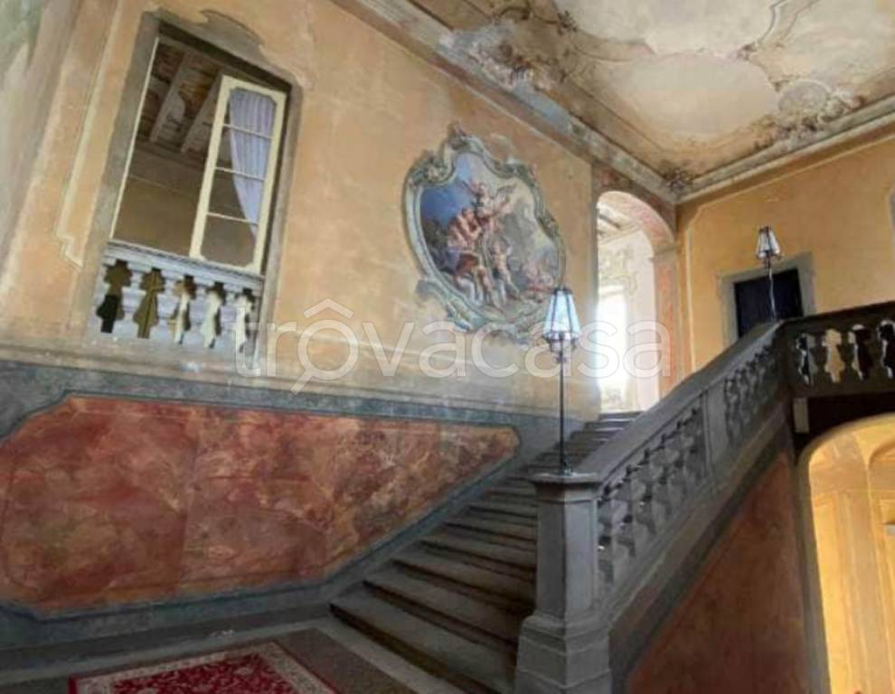 immagine annuncio 5 di 14