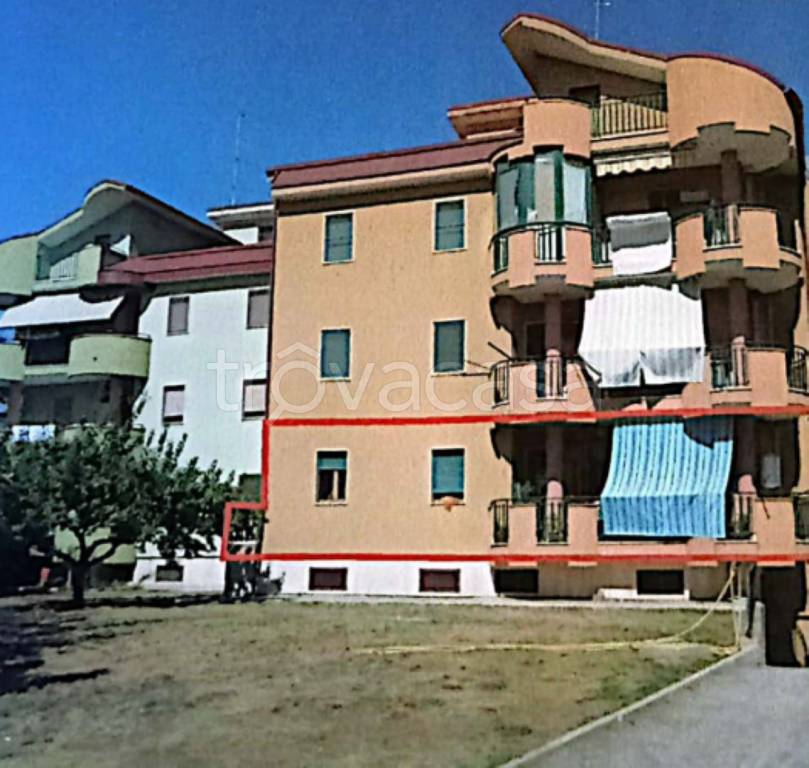 immagine annuncio 1 di 13
