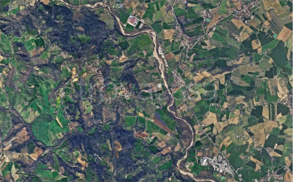 immagine annuncio 10 di 14