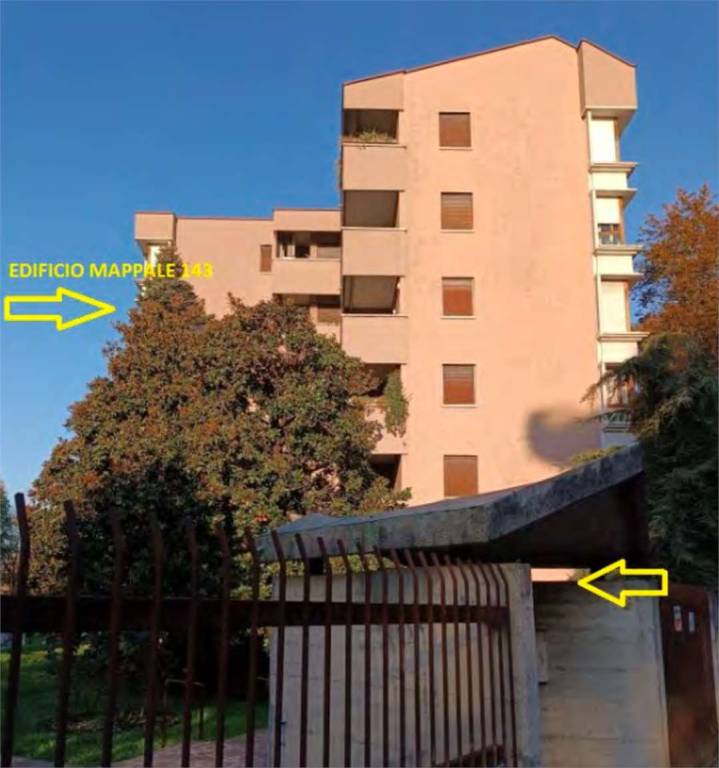 immagine annuncio 1 di 14