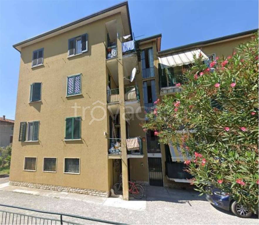 immagine annuncio 11 di 14