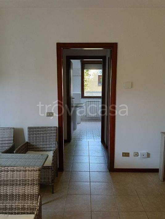 immagine annuncio 7 di 14