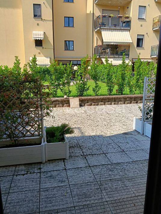 immagine annuncio 5 di 14
