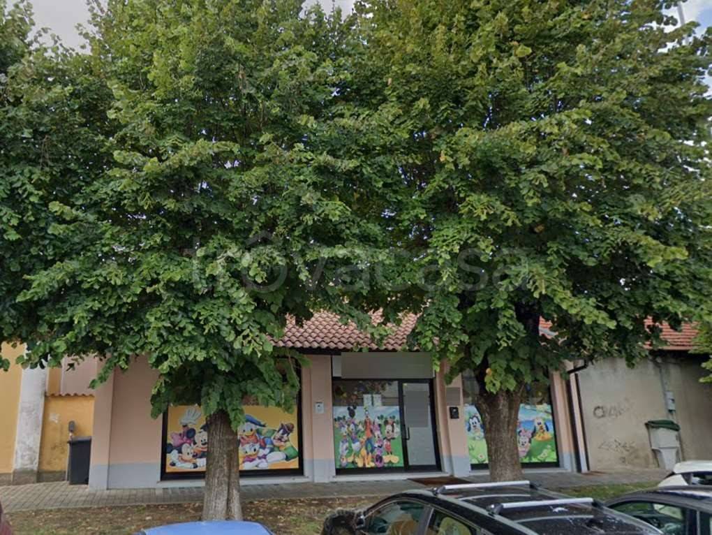 immagine annuncio 1 di 12