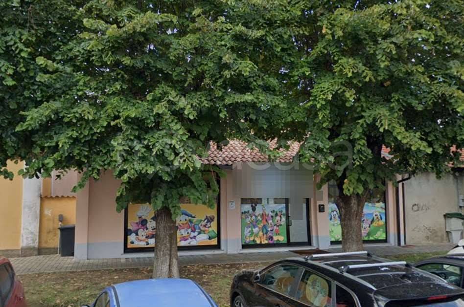 immagine annuncio 3 di 12