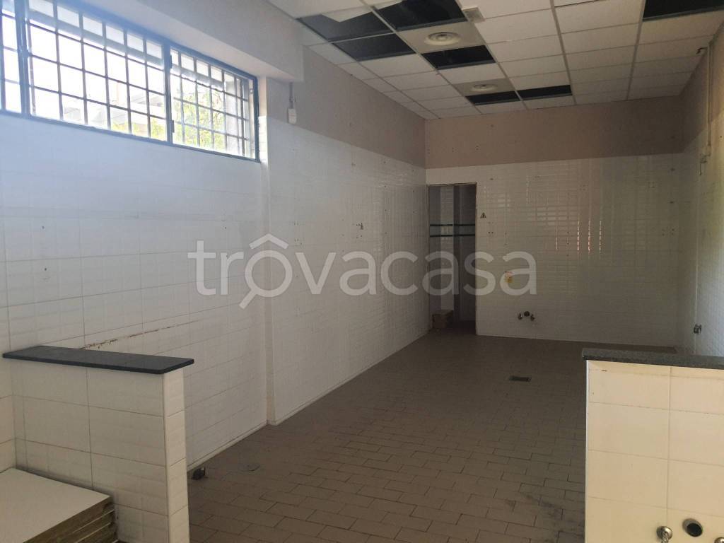 immagine annuncio 6 di 11