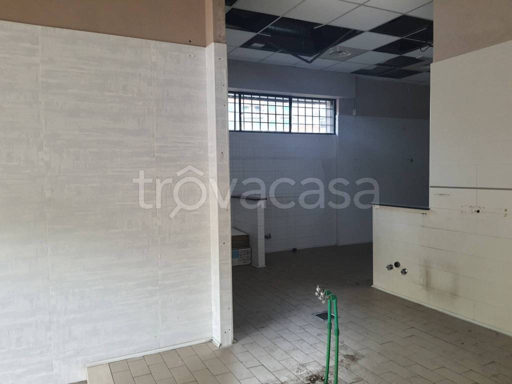 immagine annuncio 7 di 11