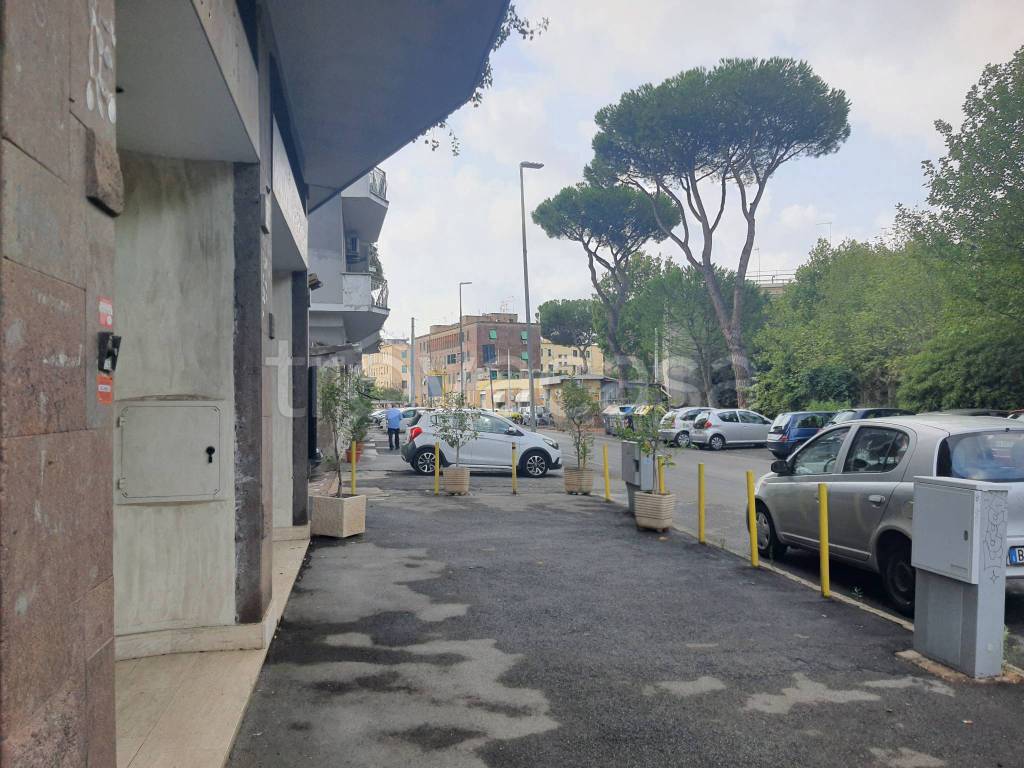 immagine annuncio 9 di 11