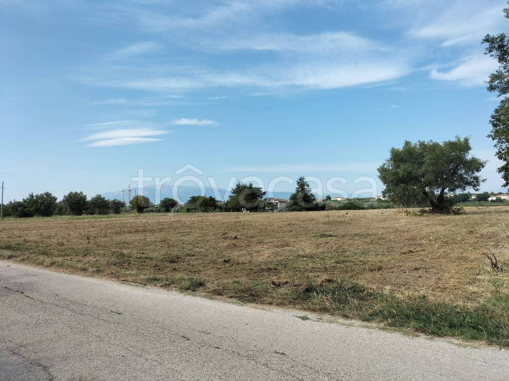immagine annuncio 8 di 9