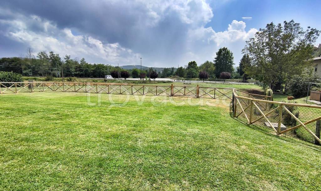 immagine annuncio 10 di 12