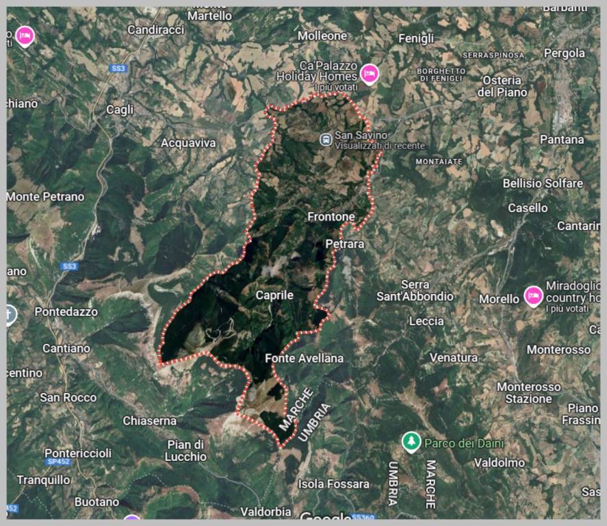 immagine annuncio 13 di 15