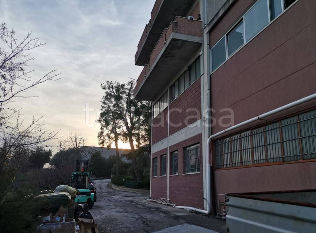 immagine annuncio 5 di 11