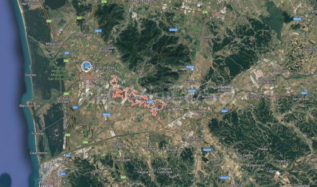 immagine annuncio 5 di 15
