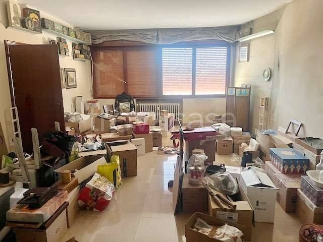immagine annuncio 12 di 13