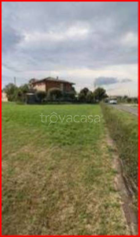 immagine annuncio 6 di 12