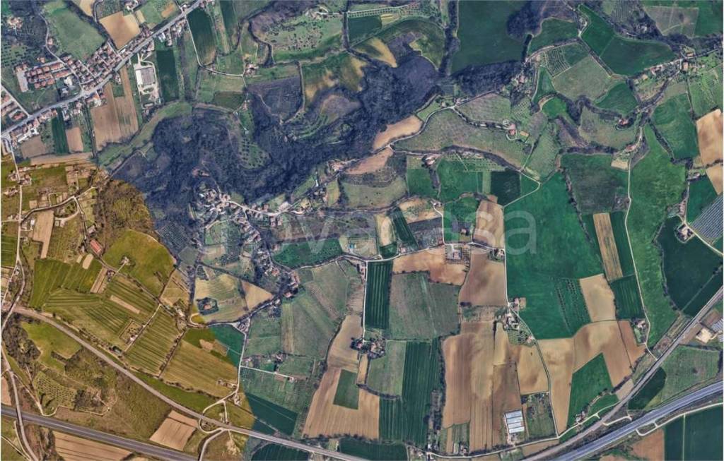 immagine annuncio 10 di 14