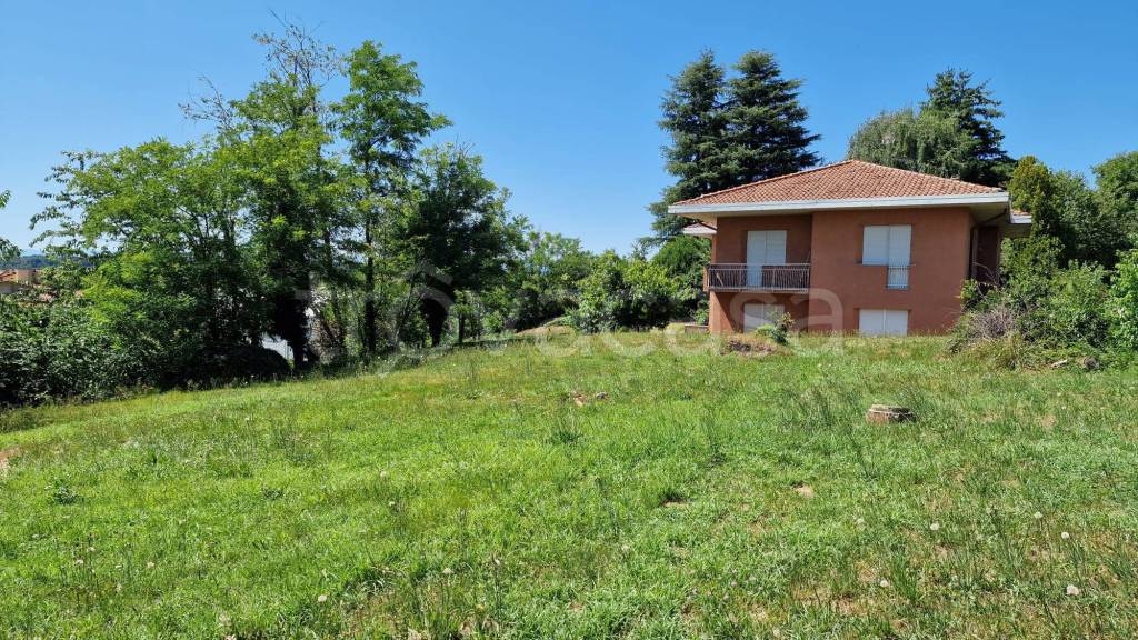 immagine annuncio 3 di 11