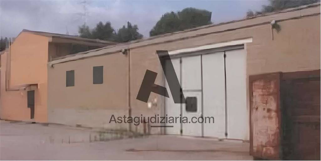 immagine annuncio 2 di 6