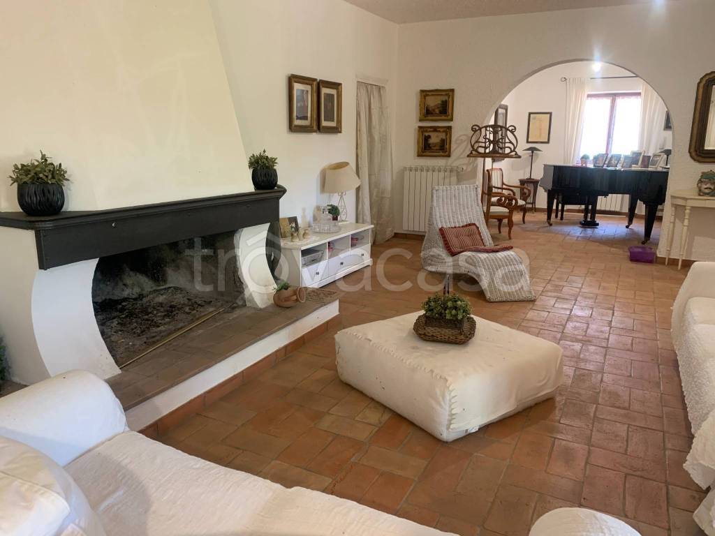 immagine annuncio 6 di 12