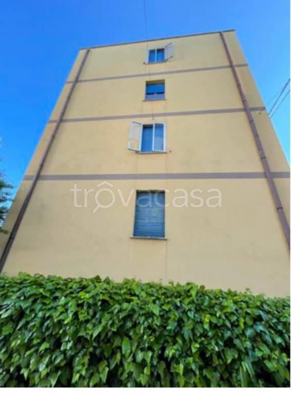 immagine annuncio 3 di 12
