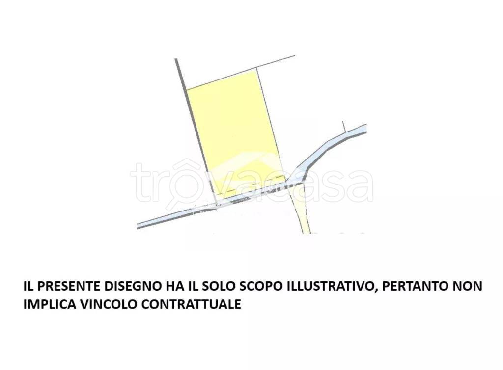 immagine annuncio 5 di 6